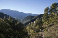 Cjp_2013_10_07_072700.jpg