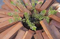 Cjp_2013_10_07_082054.jpg