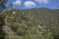Cjp_2013_10_07_113804.jpg