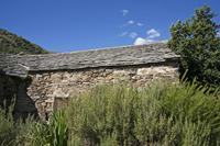 Cjp_2013_10_07_114454.jpg
