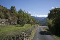 Cjp_2013_10_07_120018.jpg