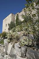 Cjp_2013_10_07_125702.jpg