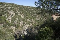 Cjp_2013_10_07_130830.jpg