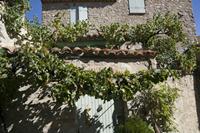 Cjp_2013_10_07_132608.jpg