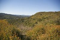 Cjp_2013_10_07_142020.jpg