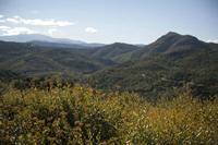 Cjp_2013_10_07_142026.jpg