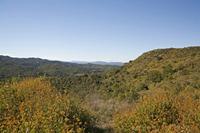 Cjp_2013_10_07_142040.jpg