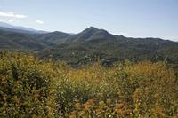 Cjp_2013_10_07_142046.jpg