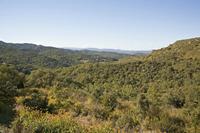 Cjp_2013_10_07_142318.jpg