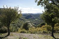Cjp_2013_10_07_142408.jpg