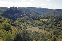 Cjp_2013_10_07_142810.jpg