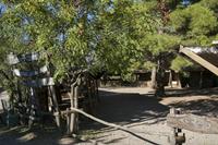 Cjp_2013_10_07_143726.jpg