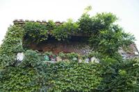 Cjp_2013_10_07_144436.jpg
