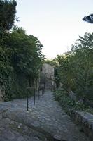 Cjp_2013_10_07_144612.jpg