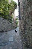 Cjp_2013_10_07_144628.jpg