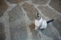 Cjp_2013_10_07_150352.jpg