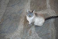 Cjp_2013_10_07_150402.jpg