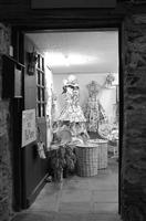 Cjp_2013_10_07_173556.jpg