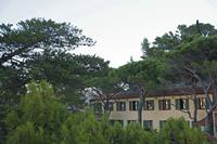 Cjp_2013_10_08_070204.jpg