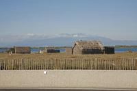 Cjp_2013_10_08_083558.jpg