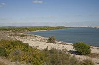 Cjp_2013_10_08_105520.jpg