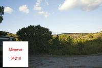 Cjp_2013_10_08_160844.jpg