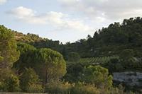 Cjp_2013_10_08_161100.jpg