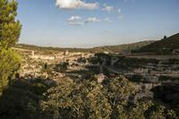 Cjp_2013_10_08_162042.jpg