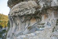 Cjp_2013_10_09_062128.jpg