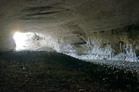 Cjp_2013_10_09_065650.jpg
