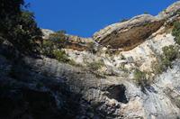 Cjp_2013_10_09_070516.jpg