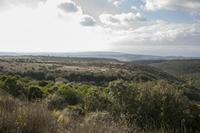 Cjp_2013_10_09_082900.jpg
