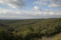 Cjp_2013_10_09_082902.jpg
