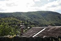 Cjp_2013_10_09_112108.jpg