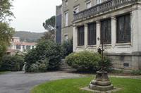 Cjp_2013_10_10_064224.jpg