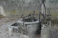 Cjp_2013_10_10_064304.jpg