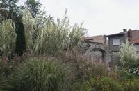 Cjp_2013_10_10_064352.jpg