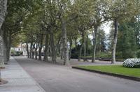 Cjp_2013_10_10_065920.jpg