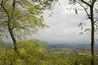 Cjp_2013_10_10_122638.jpg