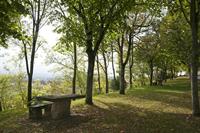 Cjp_2013_10_10_122714.jpg