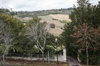 Cjp_2013_10_10_124750.jpg