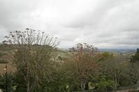 Cjp_2013_10_10_124900.jpg
