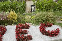 Cjp_2013_10_10_125226.jpg