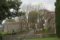 Cjp_2013_10_10_133934.jpg