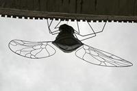 Cjp_2013_10_10_134232.jpg