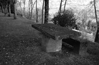 Cjp_2013_10_10_163645_Nb.jpg