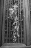 Cjp_2013_10_10_164733_Nb.jpg
