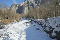 Cjp_2013_11_28_111408.jpg