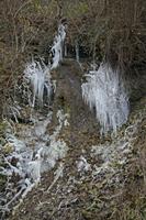 Cjp_2013_11_28_142004.jpg