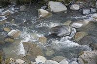 Cjp_2013_11_28_142240.jpg